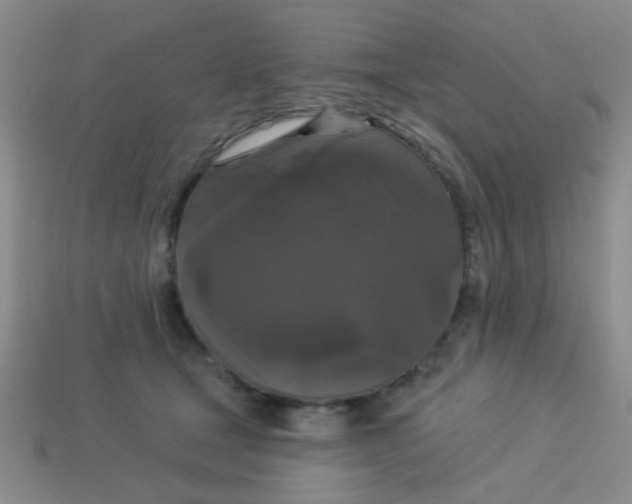 X0000113880465200910151317