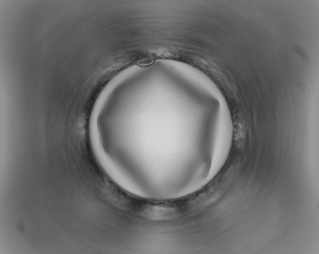 X0000113880466200910151317