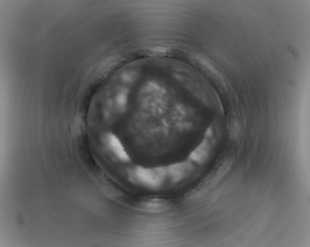 X0000113880467200910151317