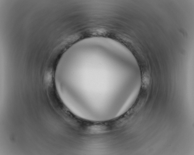 X0000113880468200910151317