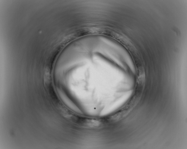 X0000113880469200910151317