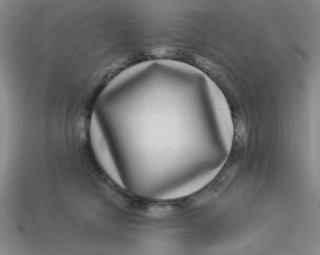 X0000113880470200910151317