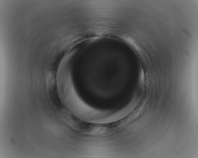 X0000113880471200910151317