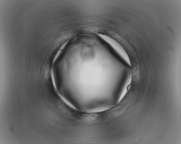 X0000113880474200910151317