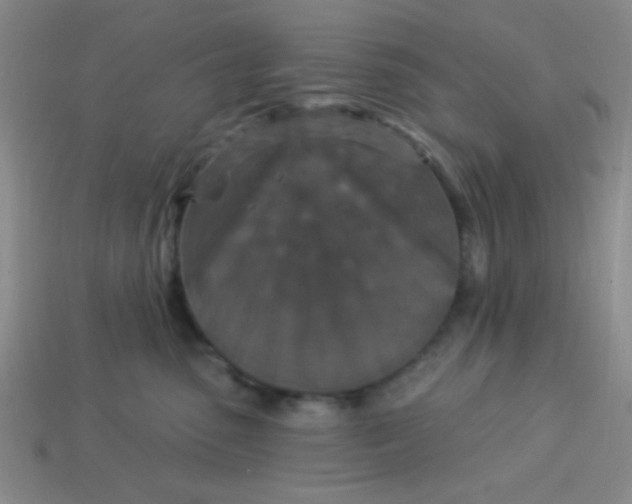 X0000113880475200910151317