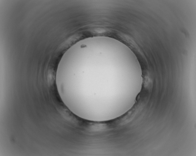 X0000113880476200910151317