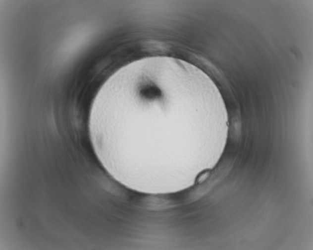 X0000113880477200910151317