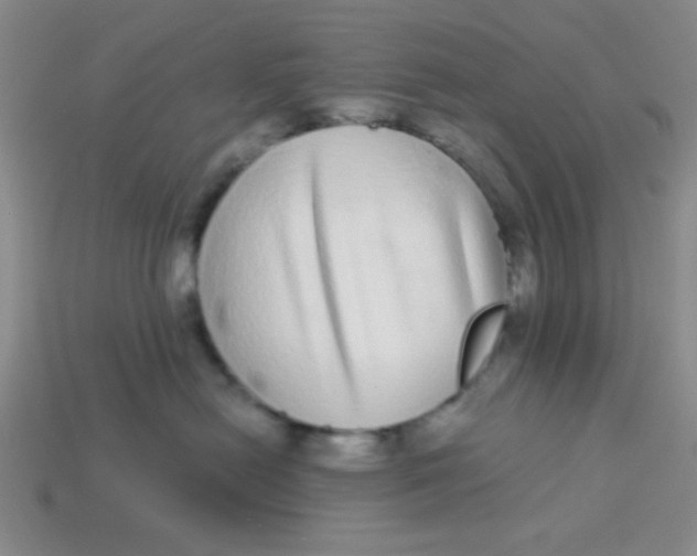 X0000113880478200910151317