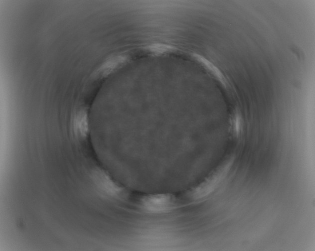 X0000113880479200910151317