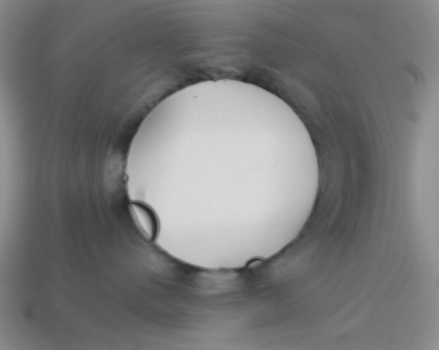 X0000113880480200910151317