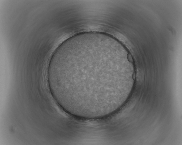 X0000113880481200910151316