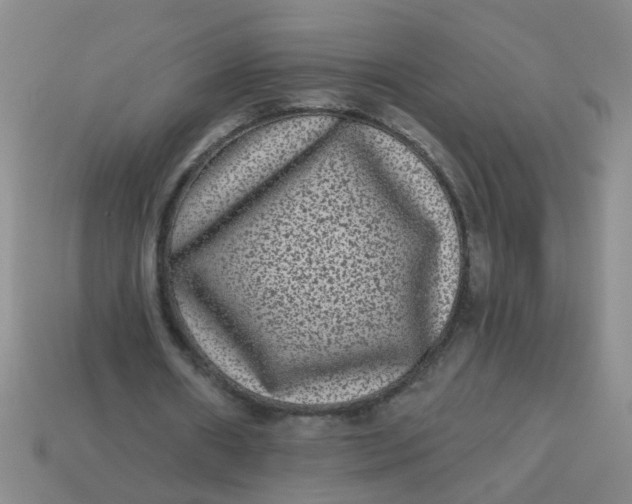 X0000113880482200910151316