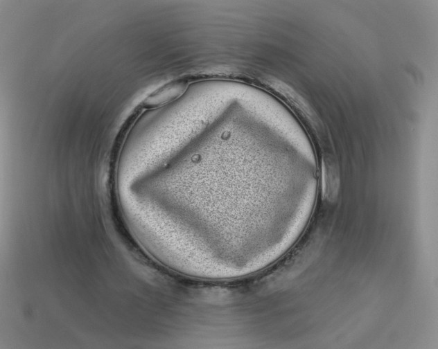 X0000113880483200910151316