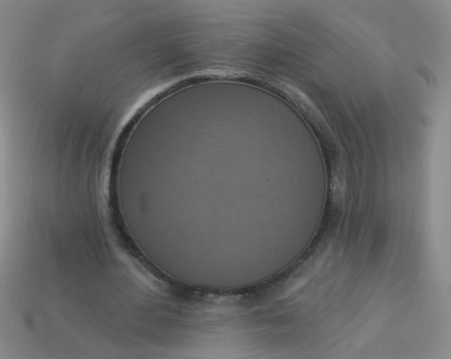 X0000113880484200910151316