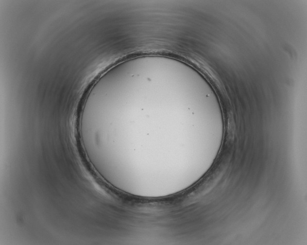 X0000113880485200910151316