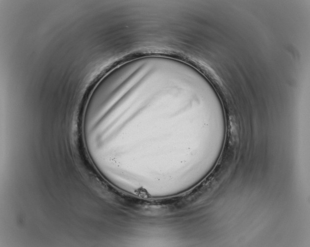 X0000113880487200910151316