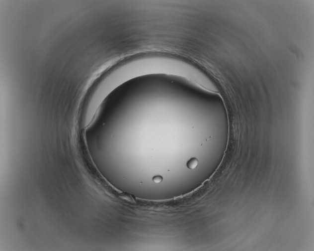 X0000113880488200910151316