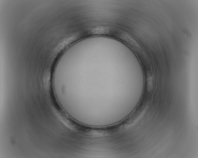 X0000113880490200910151316