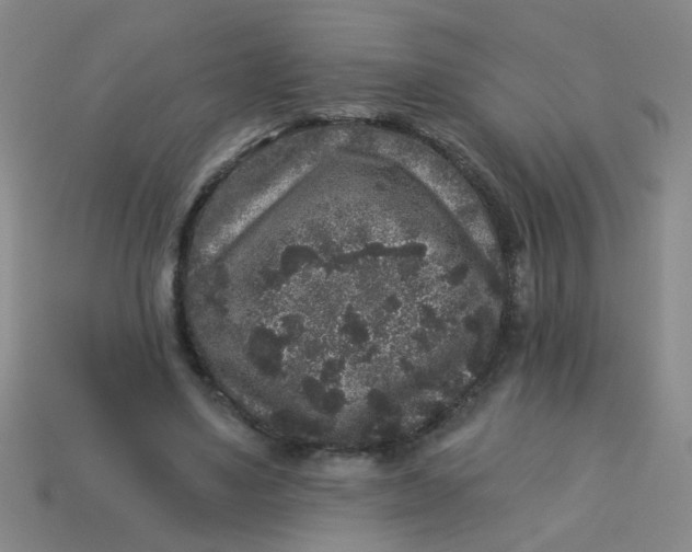 X0000113880491200910151316