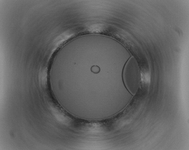 X0000113880492200910151316