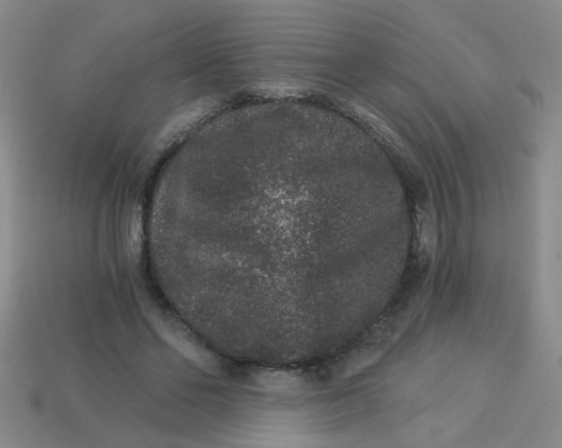 X0000113880494200910151316