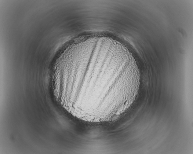 X0000113880495200910151316