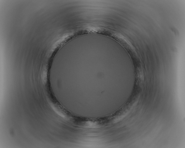 X0000113880496200910151316