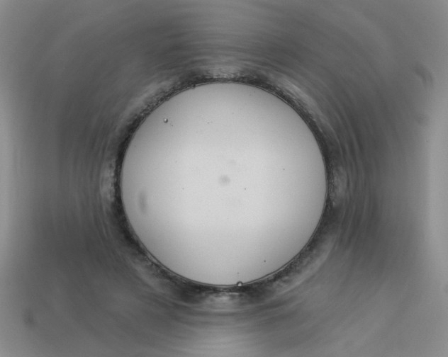 X0000113880497200910151316