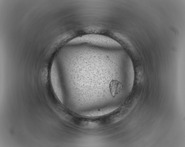 X0000113880498200910151316