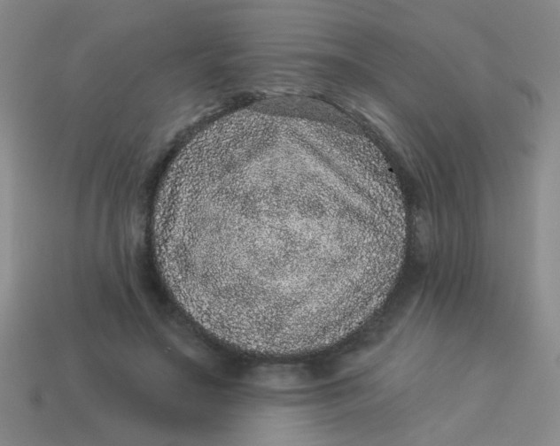 X0000113880499200910151316