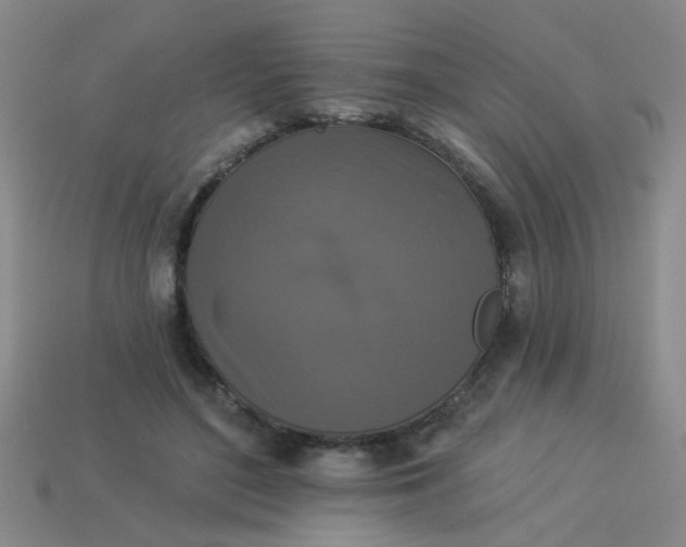 X0000113880500200910151316