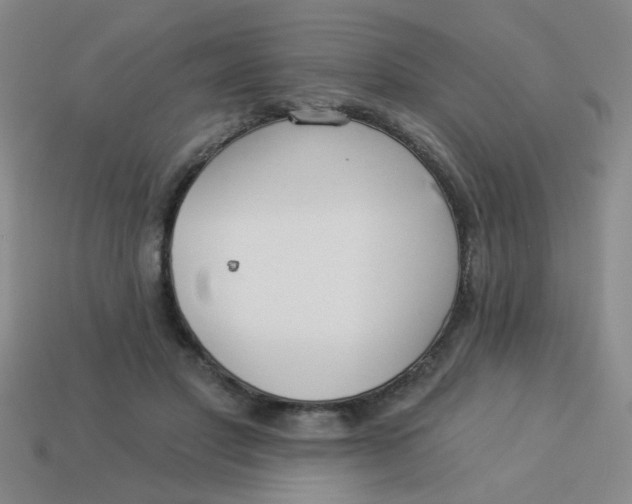 X0000113880501200910151316