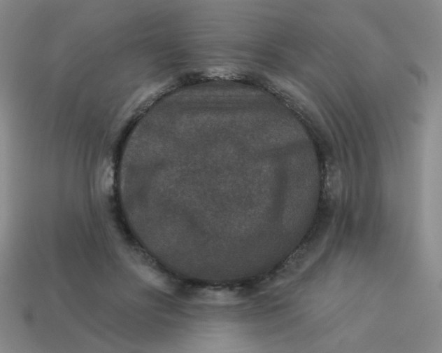 X0000113880502200910151316