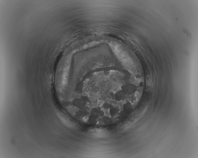 X0000113880503200910151316