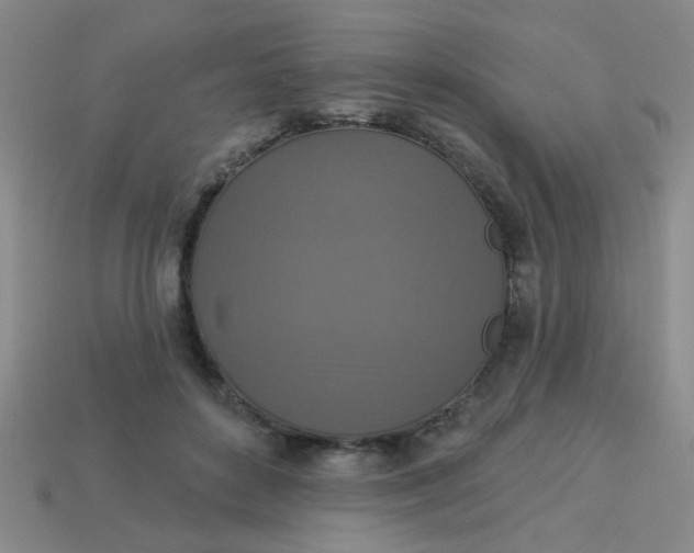 X0000113880504200910151316