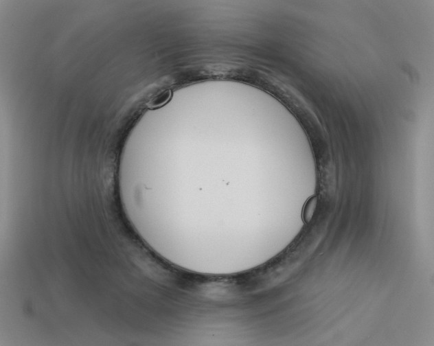 X0000113880505200910151316