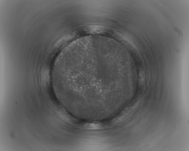 X0000113880506200910151316