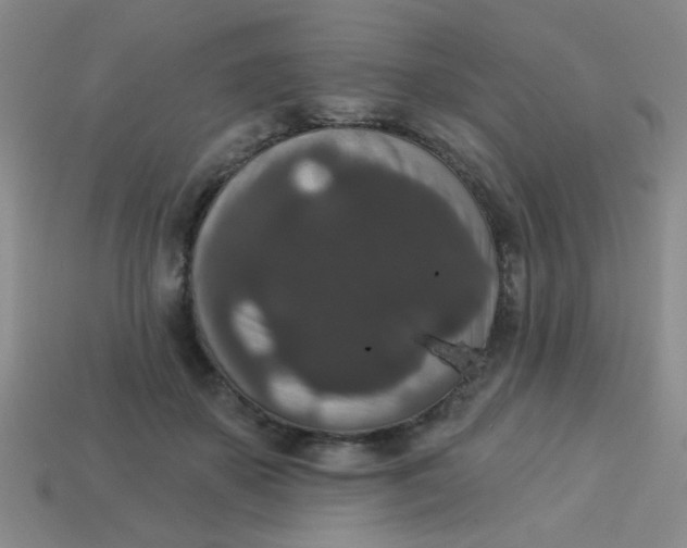 X0000113880507200910151316