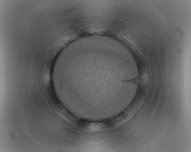 X0000113880508200910151316