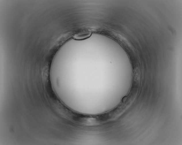 X0000113880509200910151316