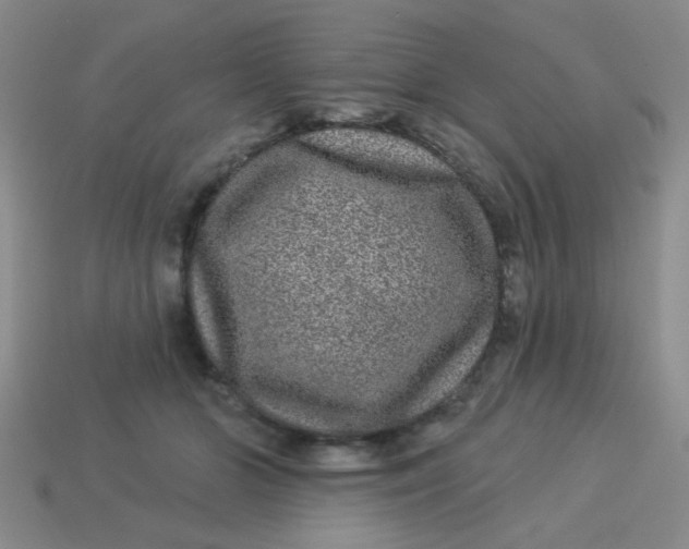 X0000113880510200910151316