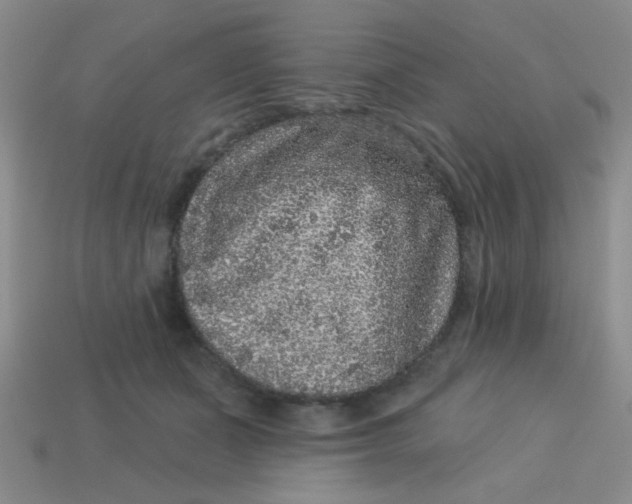 X0000113880511200910151316