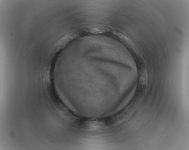 X0000113880512200910151316