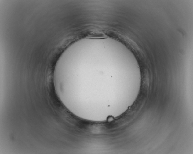 X0000113880513200910151316