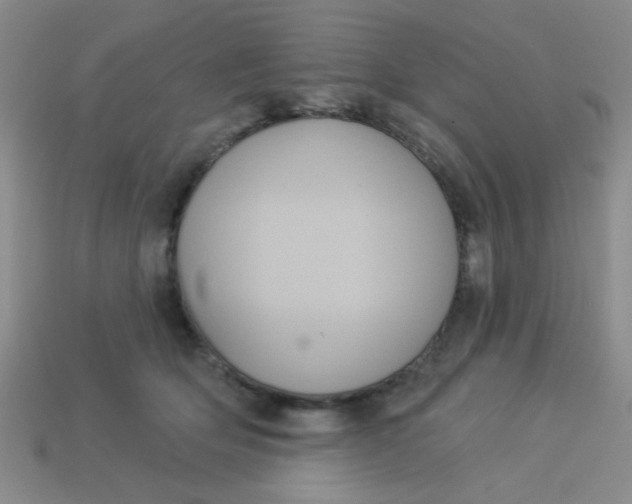 X0000113880514200910151316