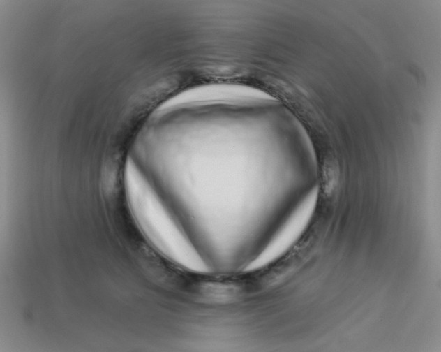 X0000113880515200910151316