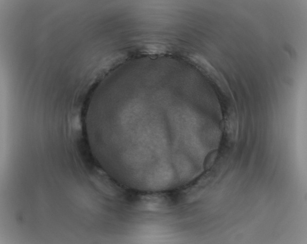 X0000113880516200910151316