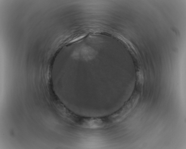 X0000113880517200910151316