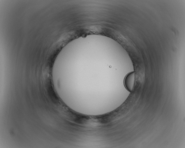 X0000113880518200910151316