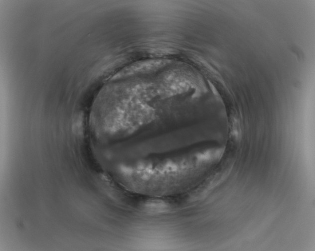 X0000113880519200910151316